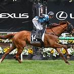 melbourne cup best horse bet